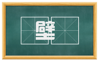 壁蟢