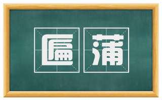 匾蒲