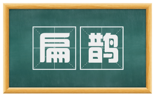 扁鹊