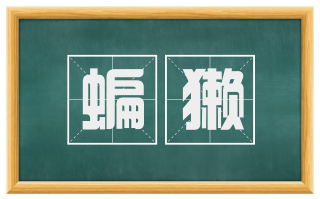 蝙獭