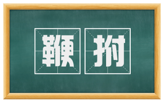 鞭拊