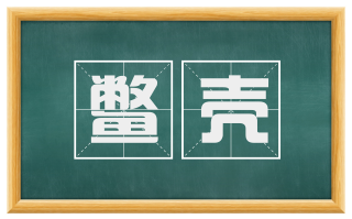 鳖壳