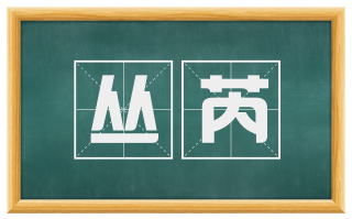 丛芮