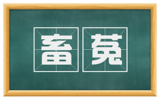 畜菟