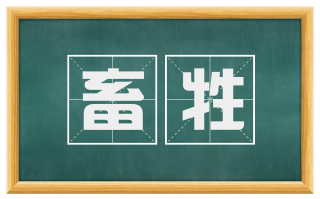 畜牲
