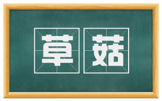 草菇