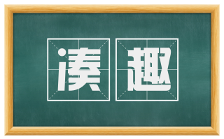 凑趣