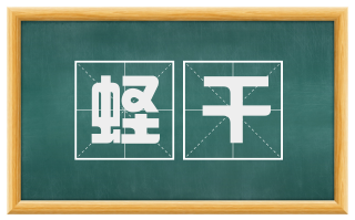 蛏干
