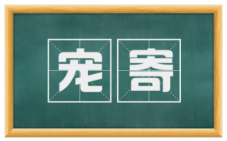 宠寄