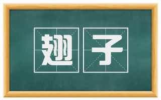 翅子