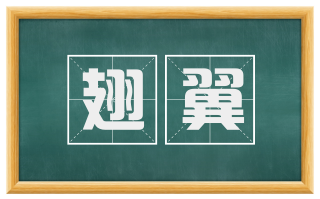 翅翼