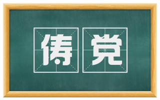 俦党