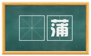 摴蒲