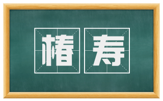 椿寿