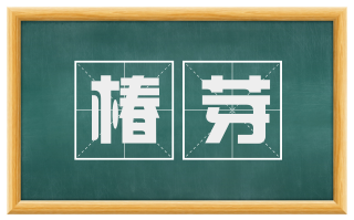 椿芽