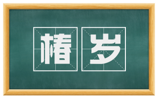 椿岁