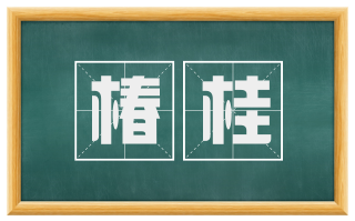 椿桂