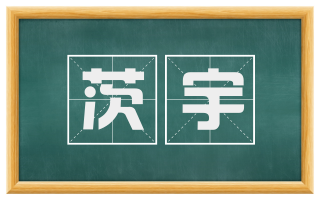茨宇