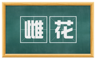 雌花