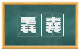 毳囊