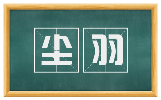 尘羽