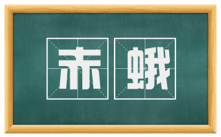 赤蛾
