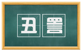 丑詈