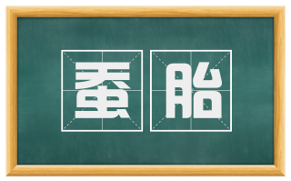 蚕胎