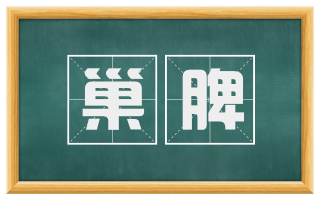 巢脾