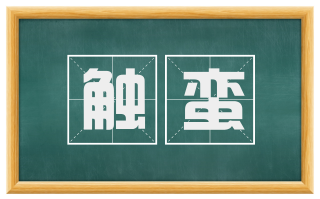 触蛮