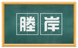 塍岸