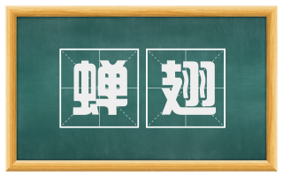 蝉翅