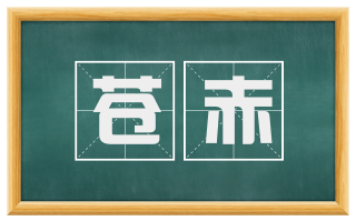 苍赤