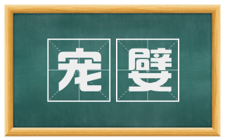 宠嬖