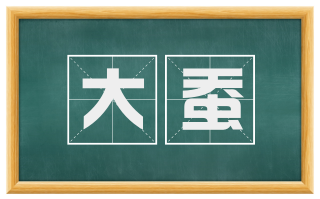 大蚕