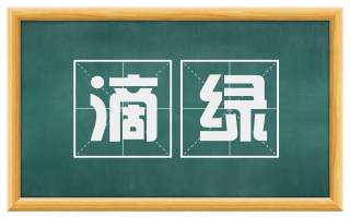 滴绿