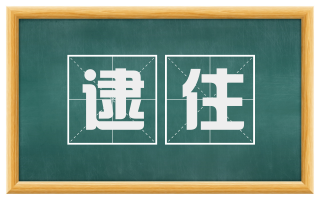 逮住
