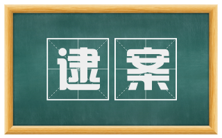 逮案