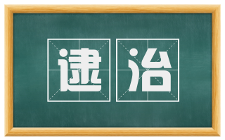 逮治