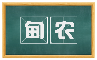 甸农