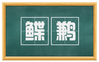 鲽鹣