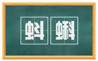 蚪蝌