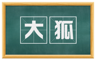 大狐