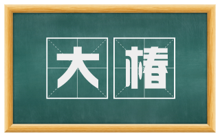 大椿