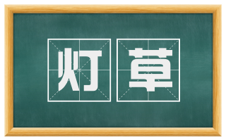 灯草
