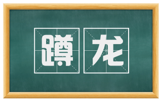 蹲龙