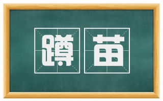 蹲苗
