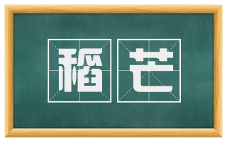 稻芒