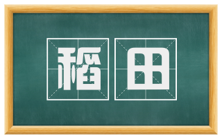 稻田
