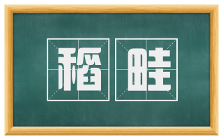 稻畦